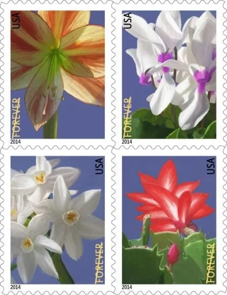 Winter Flowers Stamps