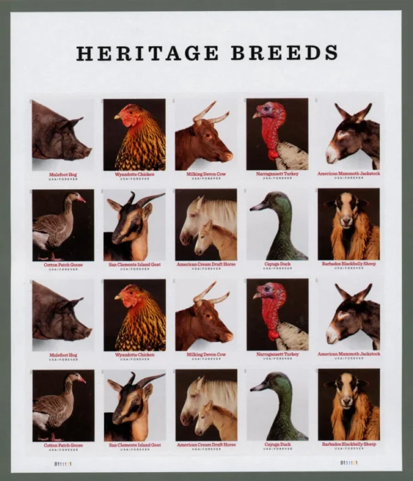 2021 Heritage Breeds Stamps - Image 2