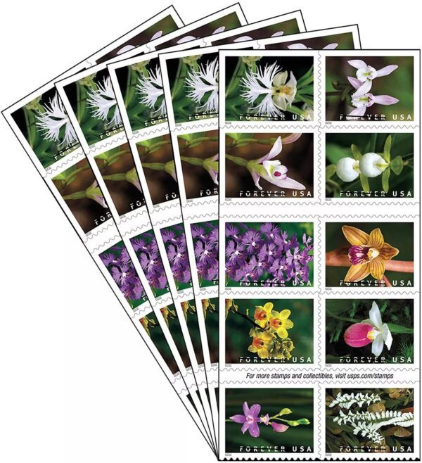 Wild Orchids Stamps - Image 4