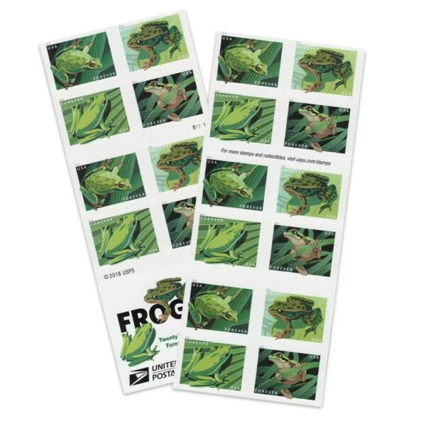 Squirrel Tree Frog Stamps - Image 2