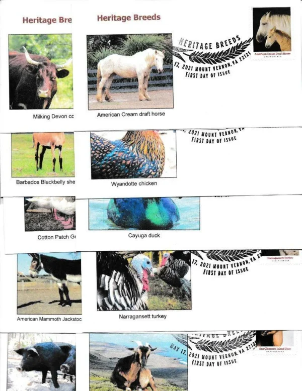 2021 Heritage Breeds Stamps - Image 3