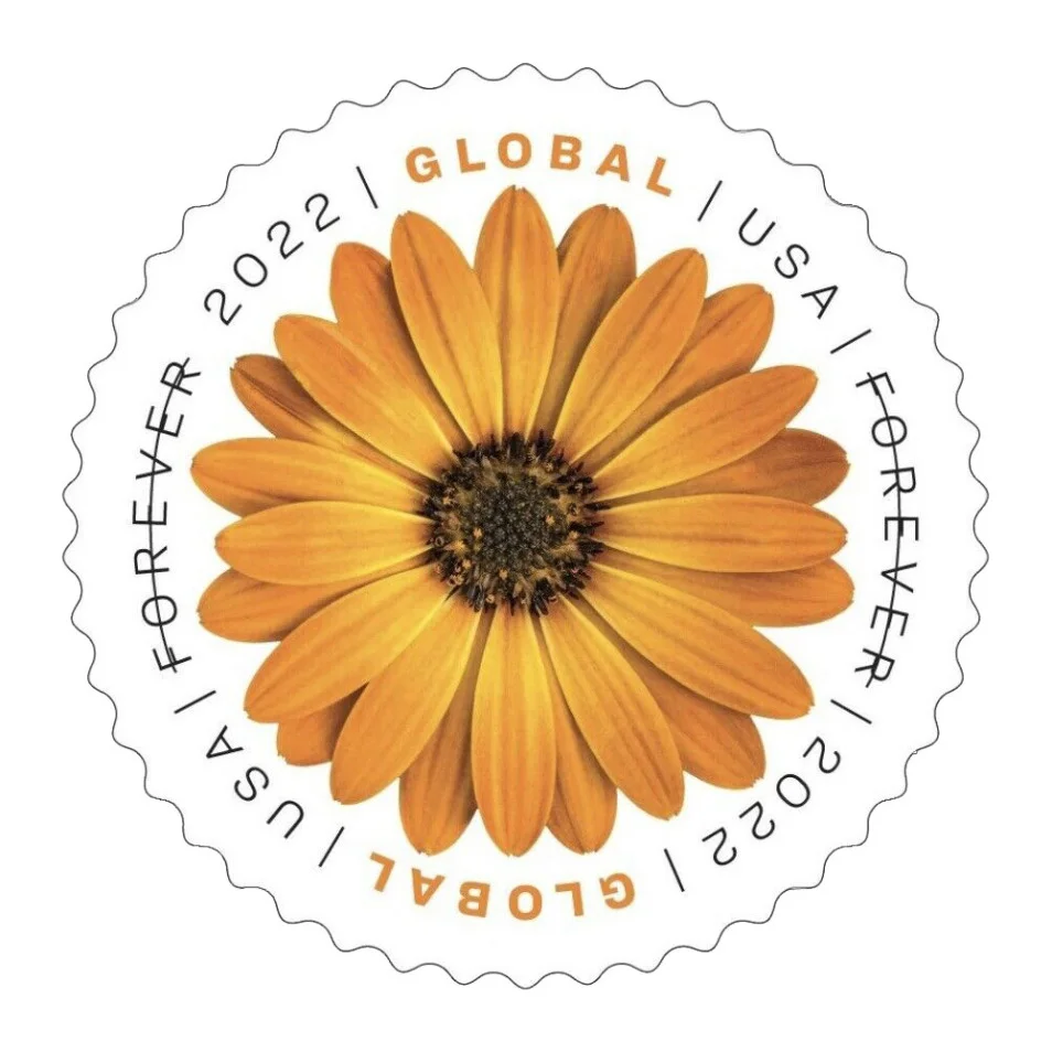 Global: African Daisy Stamps