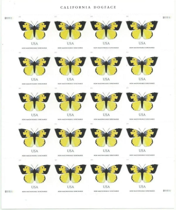 $1.12 California Dogface Butterfly - Image 2