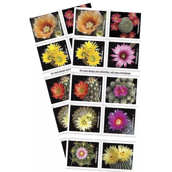 Cactus Flowers Stamps - Image 2