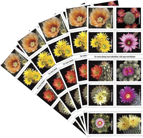 Cactus Flowers Stamps - Image 4
