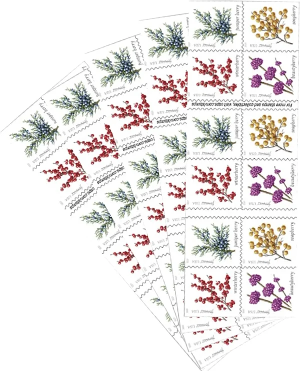 Winter Berries Stamps - Image 3