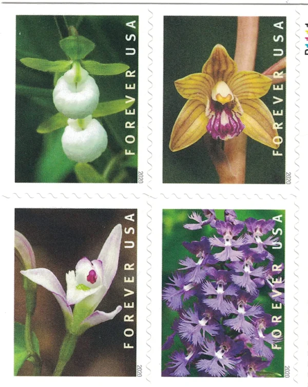 Wild Orchids Stamps - Image 2